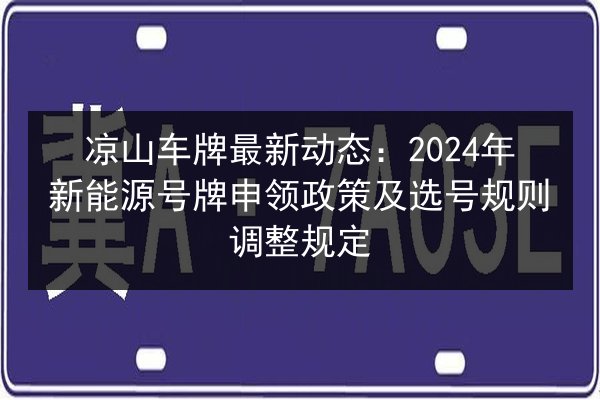 凉山车牌最新动态：2024年新能源号牌申领政策及选号规则调整规定 第2张