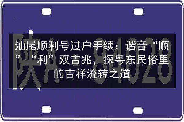 汕尾顺利号过户手续：谐音“顺”“利”双吉兆，探粤东民俗里的吉祥流转之道 第3张