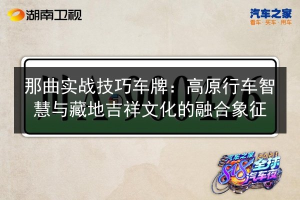 那曲实战技巧车牌：高原行车智慧与藏地吉祥文化的融合象征