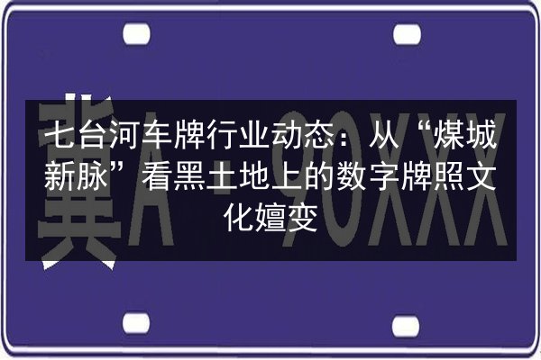 七台河车牌行业动态：从“煤城新脉”看黑土地上的数字牌照文化嬗变