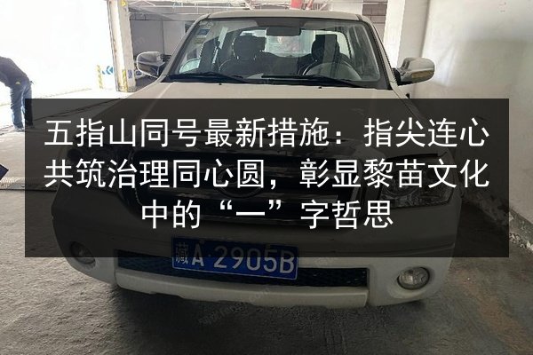 五指山同号最新措施:指尖连心共筑治理同心圆,彰显黎苗文化中的“一”字哲思 第2张 五指山同号最新措施:指尖连心共筑治理同心圆,彰显黎苗文化中的“一”字哲思 第2张