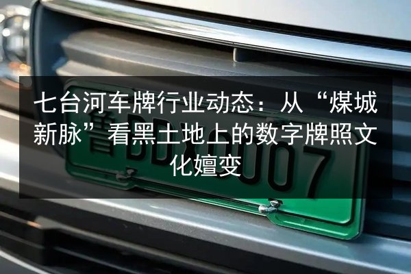 七台河车牌行业动态：从“煤城新脉”看黑土地上的数字牌照文化嬗变 第2张