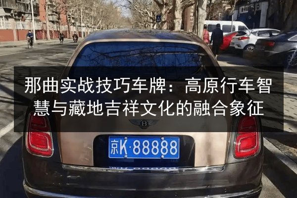 那曲实战技巧车牌:高原行车智慧与藏地吉祥文化的融合象征 第3张 那曲实战技巧车牌:高原行车智慧与藏地吉祥文化的融合象征 第3张