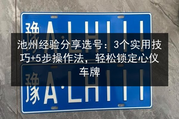 池州经验分享选号：3个实用技巧+5步操作法，轻松锁定心仪车牌