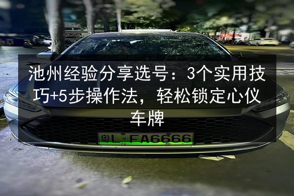 池州经验分享选号：3个实用技巧+5步操作法，轻松锁定心仪车牌 第2张
