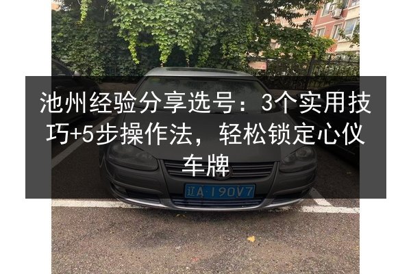 池州经验分享选号：3个实用技巧+5步操作法，轻松锁定心仪车牌 第3张