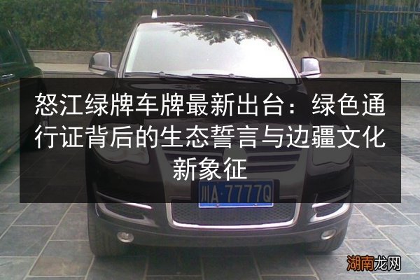 怒江绿牌车牌最新出台：绿色通行证背后的生态誓言与边疆文化新象征