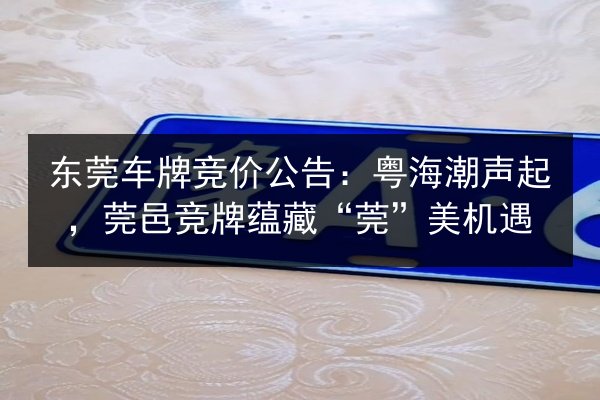 东莞车牌竞价公告：粤海潮声起，莞邑竞牌蕴藏“莞”美机遇