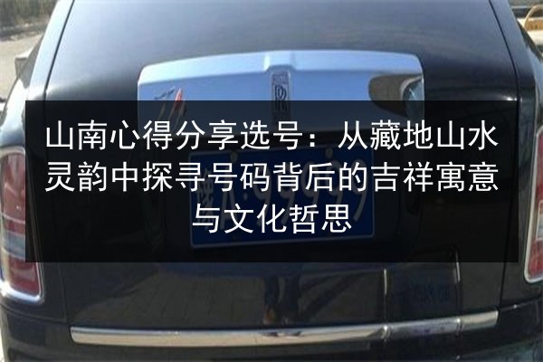 山南心得分享选号：从藏地山水灵韵中探寻号码背后的吉祥寓意与文化哲思