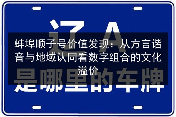 蚌埠顺子号价值发现：从方言谐音与地域认同看数字组合的文化溢价
