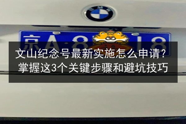 文山纪念号最新实施怎么申请？掌握这3个关键步骤和避坑技巧