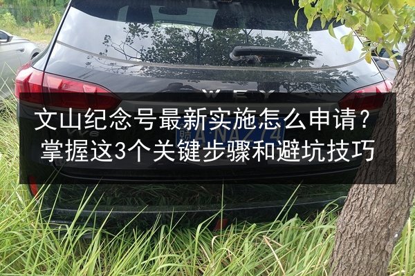 文山纪念号最新实施怎么申请?掌握这3个关键步骤和避坑技巧 第2张 文山纪念号最新实施怎么申请?掌握这3个关键步骤和避坑技巧 第2张