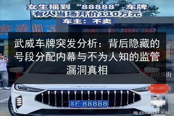 武威车牌突发分析：背后隐藏的号段分配内幕与不为人知的监管漏洞真相 第2张