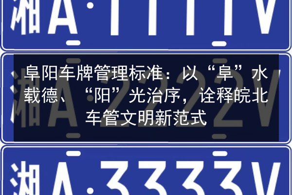 阜阳车牌管理标准：以“阜”水载德、“阳”光治序，诠释皖北车管文明新范式