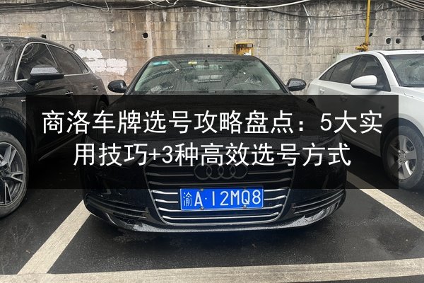 商洛车牌选号攻略盘点:5大实用技巧+3种高效选号方式 第3张 商洛车牌选号攻略盘点:5大实用技巧+3种高效选号方式 第3张