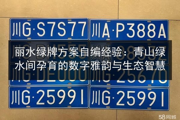 丽水绿牌方案自编经验：青山绿水间孕育的数字雅韵与生态智慧