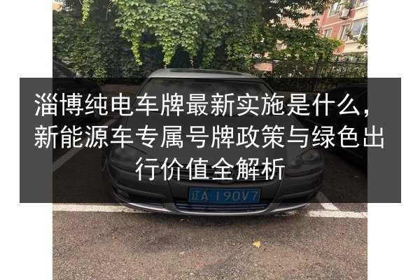 淄博纯电车牌最新实施是什么,新能源车专属号牌政策与绿色出行价值全解析 第2张 淄博纯电车牌最新实施是什么,新能源车专属号牌政策与绿色出行价值全解析 第2张