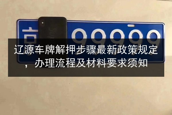 辽源车牌解押步骤最新政策规定，办理流程及材料要求须知