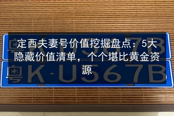 定西夫妻号价值挖掘盘点:5大隐藏价值清单,个个堪比黄金资源 第2张 定西夫妻号价值挖掘盘点:5大隐藏价值清单,个个堪比黄金资源 第2张