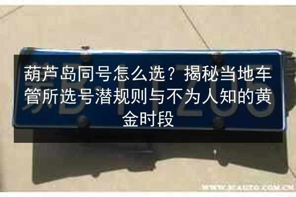葫芦岛同号怎么选？揭秘当地车管所选号潜规则与不为人知的黄金时段