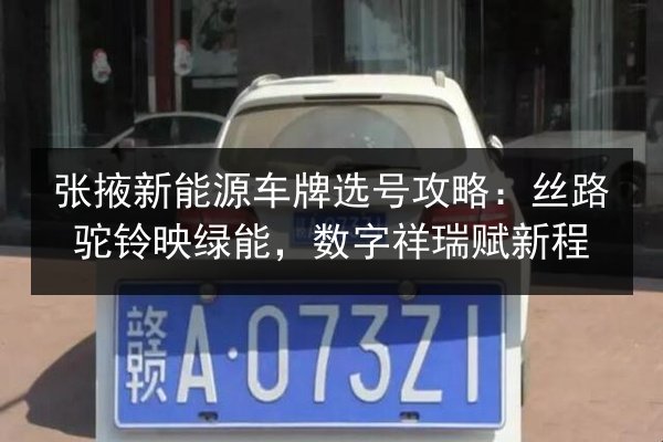 张掖新能源车牌选号攻略:丝路驼铃映绿能,数字祥瑞赋新程 第3张 张掖新能源车牌选号攻略:丝路驼铃映绿能,数字祥瑞赋新程 第3张