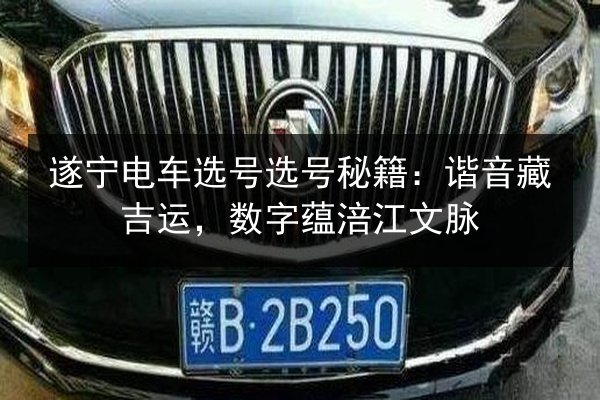 遂宁电车选号选号秘籍：谐音藏吉运，数字蕴涪江文脉 第2张