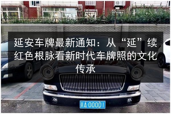 延安车牌最新通知：从“延”续红色根脉看新时代车牌照的文化传承 第3张