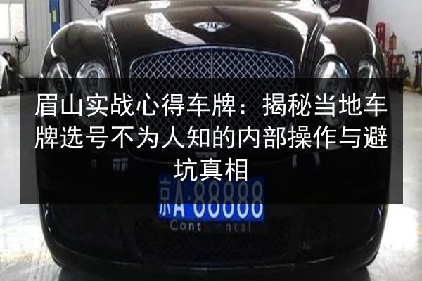 眉山实战心得车牌：揭秘当地车牌选号不为人知的内部操作与避坑真相