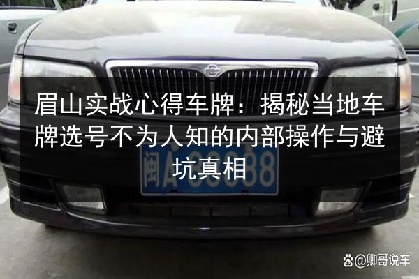 眉山实战心得车牌:揭秘当地车牌选号不为人知的内部操作与避坑真相 第2张 眉山实战心得车牌:揭秘当地车牌选号不为人知的内部操作与避坑真相 第2张