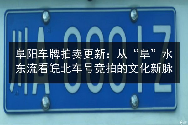 阜阳车牌拍卖更新：从“阜”水东流看皖北车号竞拍的文化新脉 第2张
