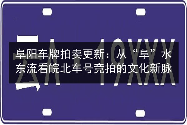 阜阳车牌拍卖更新：从“阜”水东流看皖北车号竞拍的文化新脉 第3张