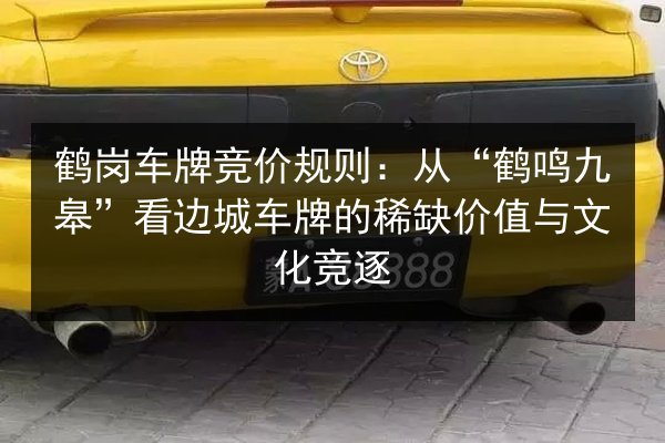 鹤岗车牌竞价规则：从“鹤鸣九皋”看边城车牌的稀缺价值与文化竞逐 第3张
