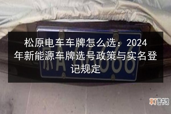 松原电车车牌怎么选：2024年新能源车牌选号政策与实名登记规定 第2张
