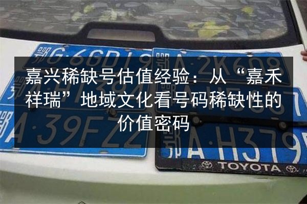 嘉兴稀缺号估值经验：从“嘉禾祥瑞”地域文化看号码稀缺性的价值密码
