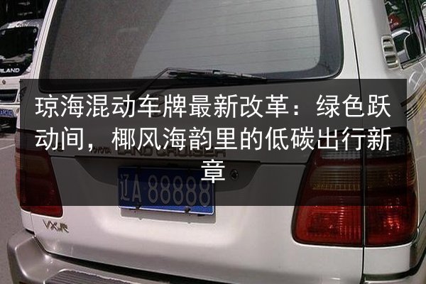 琼海混动车牌最新改革：绿色跃动间，椰风海韵里的低碳出行新章