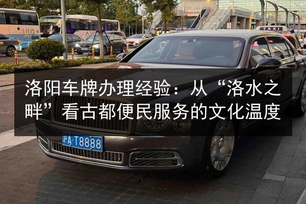 洛阳车牌办理经验:从“洛水之畔”看古都便民服务的文化温度 第3张 洛阳车牌办理经验:从“洛水之畔”看古都便民服务的文化温度 第3张