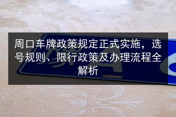 周口车牌政策规定正式实施，选号规则、限行政策及办理流程全解析 第2张