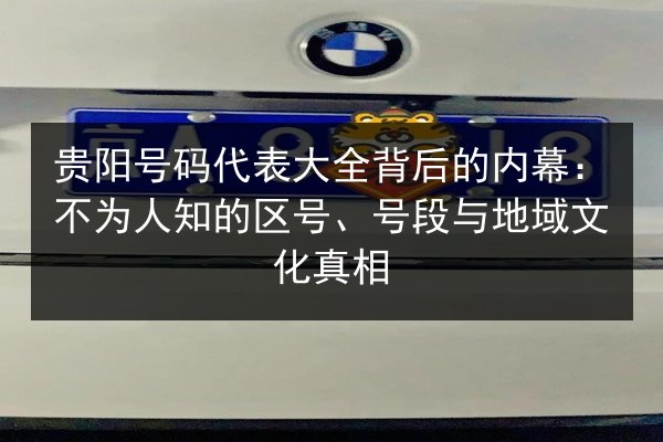 贵阳号码代表大全背后的内幕：不为人知的区号、号段与地域文化真相