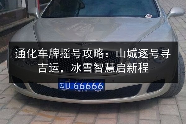 通化车牌摇号攻略:山城逐号寻吉运,冰雪智慧启新程 第2张 通化车牌摇号攻略:山城逐号寻吉运,冰雪智慧启新程 第2张