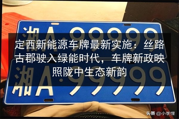定西新能源车牌最新实施：丝路古郡驶入绿能时代，车牌新政映照陇中生态新韵 第2张