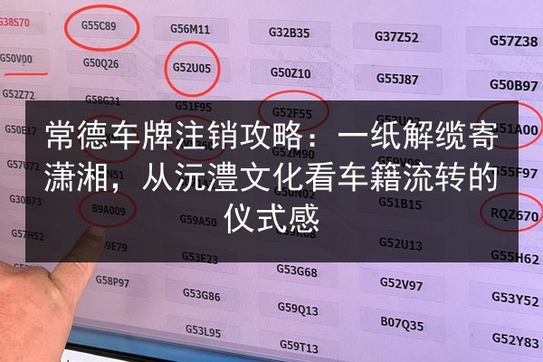 常德车牌注销攻略：一纸解缆寄潇湘，从沅澧文化看车籍流转的仪式感