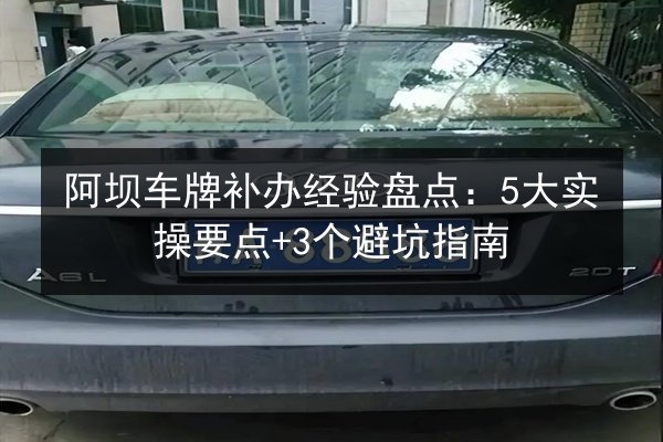 阿坝车牌补办经验盘点：5大实操要点+3个避坑指南