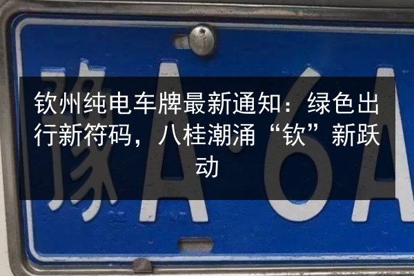 钦州纯电车牌最新通知：绿色出行新符码，八桂潮涌“钦”新跃动