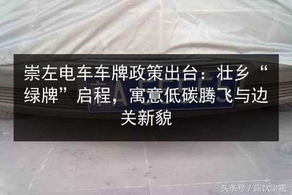 崇左电车车牌政策出台：壮乡“绿牌”启程，寓意低碳腾飞与边关新貌
