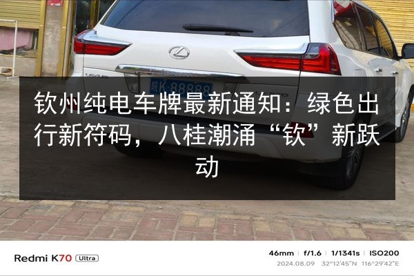 钦州纯电车牌最新通知：绿色出行新符码，八桂潮涌“钦”新跃动 第3张