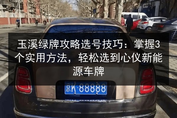 玉溪绿牌攻略选号技巧：掌握3个实用方法，轻松选到心仪新能源车牌