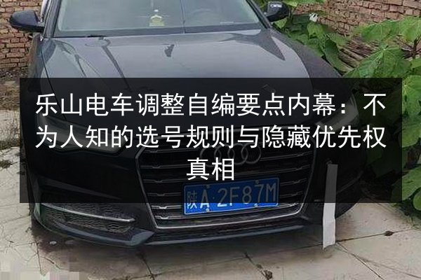 乐山电车调整自编要点内幕：不为人知的选号规则与隐藏优先权真相