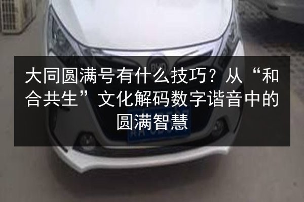 大同圆满号有什么技巧?从“和合共生”文化解码数字谐音中的圆满智慧 第3张 大同圆满号有什么技巧?从“和合共生”文化解码数字谐音中的圆满智慧 第3张