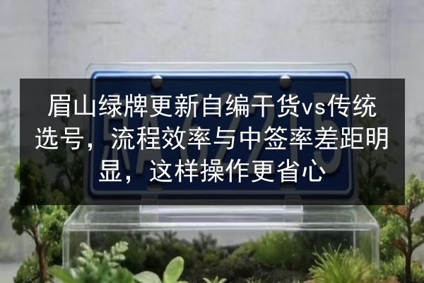 眉山绿牌更新自编干货vs传统选号，流程效率与中签率差距明显，这样操作更省心