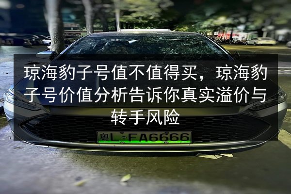 琼海豹子号值不值得买，琼海豹子号价值分析告诉你真实溢价与转手风险